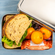 Load image into Gallery viewer, Indian Tiffin Single Layer EcoBox Lunchbox