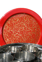 Carica l'immagine nel visualizzatore di Gallery, Masala Dabba dipinta a mano in oro e rosso