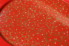 Carica l'immagine nel visualizzatore di Gallery, Masala Dabba dipinta a mano in oro e rosso